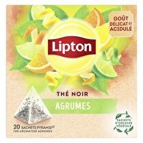 LIPTON Thé aromatisé agrumes x 20