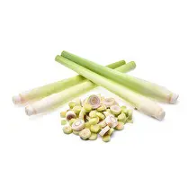 Votre primeur, Citronnelle sachet 100g