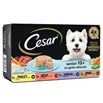 César, Repas en gelée pour chien senior 4 Variétés