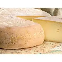 Prolaidis, Bergues fermier