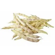 Votre primeur propose, Haricots coco de paimpol