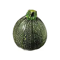 Votre rayon propose, Courgette ronde pièce