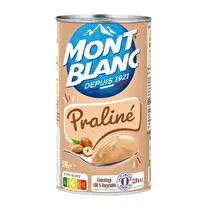 Mont blanc, Crème dessert au praliné