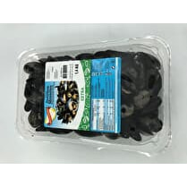 Delta Mossel, Moules de Hollande