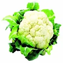 Votre primeur propose, Chou fleur