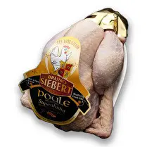 Siebert, Poule