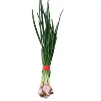 Votre primeur propose, Echalote botte