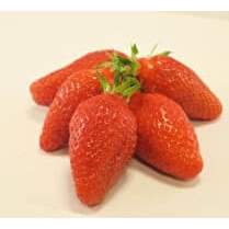 Votre primeur propose, Fraise Gariguette