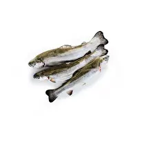 Votre poissonnier propose, Truite rose vidée