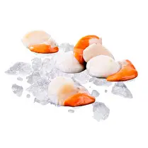 Votre poissonnier propose, Noix de saint jacques