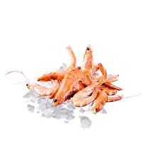 Votre poissonnier propose, Crevette rose cuite 40/60