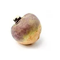 Votre primeur, Rutabaga