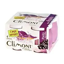 Climont, Yaourt myrtilles au lait de montagne x 4 dont 1 offert