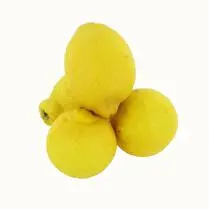 Votre primeur propose, Citron bio 4/5 500g