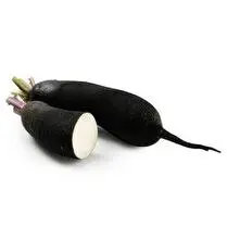Votre primeur propose, Radis noir