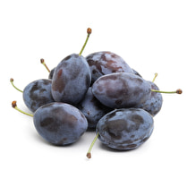 Votre producteur local propose, Prune Quetsche locale