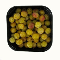 Votre primeur propose, Mirabelle IGP barquette 750g
