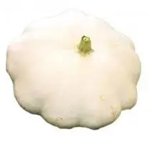 Votre rayon propose, Patisson blanc