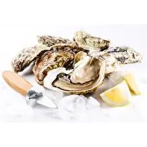 Votre poissonnier propose, Huître Fine de Bretagne N°3