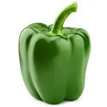 Votre primeur propose, Poivron vert