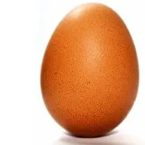 Lorraine ponte, Oeuf de poule élevée en plein air