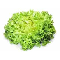 Votre producteur local propose, Frisée
