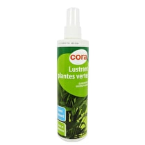 Cora, Lustrant plantes vertes