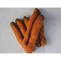 Votre producteur local propose, Carottes brossées locales