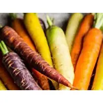 Votre primeur propose, Carotte multicolore