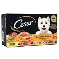 César, Terrines au Coeur de légume 4 Variétés pour chien