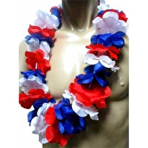 Votre rayon propose, Collier fleurs France