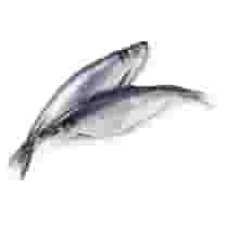 Votre poissonnier propose, Hareng salé