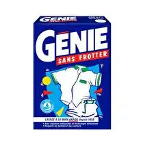 Génie, Lessive poudre