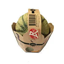 Le choix du goût, Melon Charentais Jaune Choix du Goût
