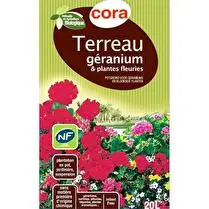 Cora, Terreau géranium