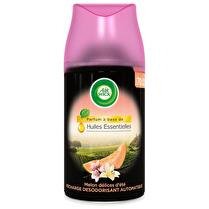 AIR WICK Freshmatic max recharge life scents délices d'été