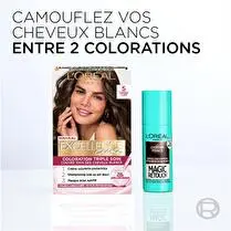 L'Oréal, Spray magic retouche N°4 le blond foncé
