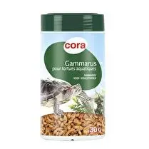 Cora, Gammarus pour tortues aquatiques