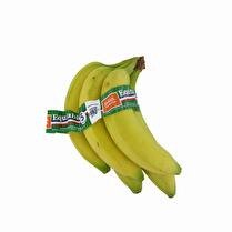 VOTRE PRIMEUR PROPOSE banane francaise equitable 5 fruits