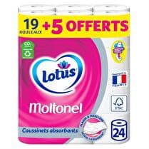 MOLTONEL LOTUS Papier toilette 19 rouleaux + 5 offerts