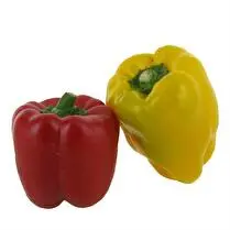 Votre primeur propose, Poivron bicolore bio 250g