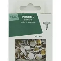 Trefilaction, Punaise blanche x100