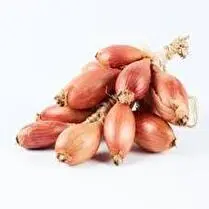 Votre producteur local propose, Echalote grappe filet 500g