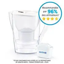 Brita, Carafe filtrante