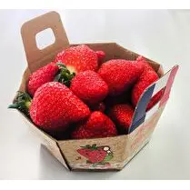 Votre primeur propose, Fraise panier 500g