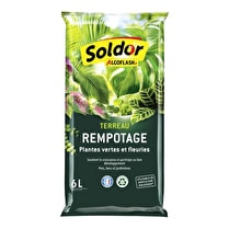 Algoflash, Terreau rempotage plante 6 litres