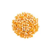 Eco'libre, Maïs à pop corn vrac BIO
