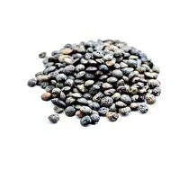 Eco'libre, Lentilles vertes vrac BIO