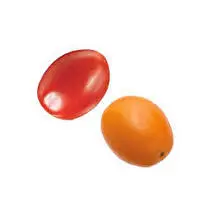 Votre primeur propose, Tomate duo pigeon