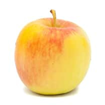 Votre producteur local propose, Pomme Delbar estivale